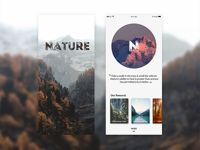 Nature! app beauty clean minimal mountains nature scenery sketch ui uidesign