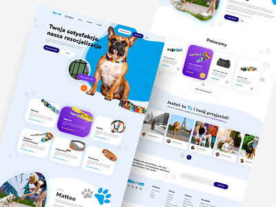 Web Design - Matteo Collars branding creative design dogs logo ui ux web web design