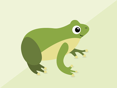 Frog Illustration frog illustration