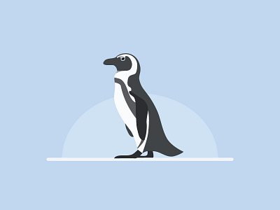 Penguin animal penguin the son of toza vector