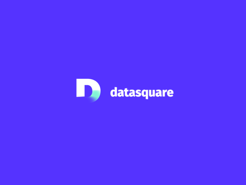 Datasquare Logo by Miew animation brand branding gpdr identity interaction logo logotype motion graphic ui ux web website