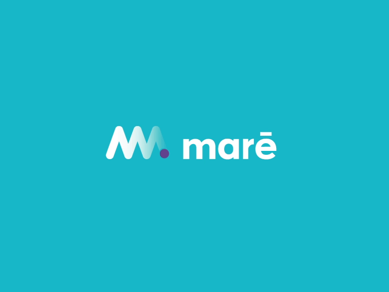 Maré Urban Transports by Miew animation brand brand and identity branding design fisherman graphic design icon identity interaction logo logotype miew motion motion animation sea transportation transports typography vector
