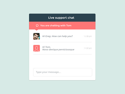 Support chat widget