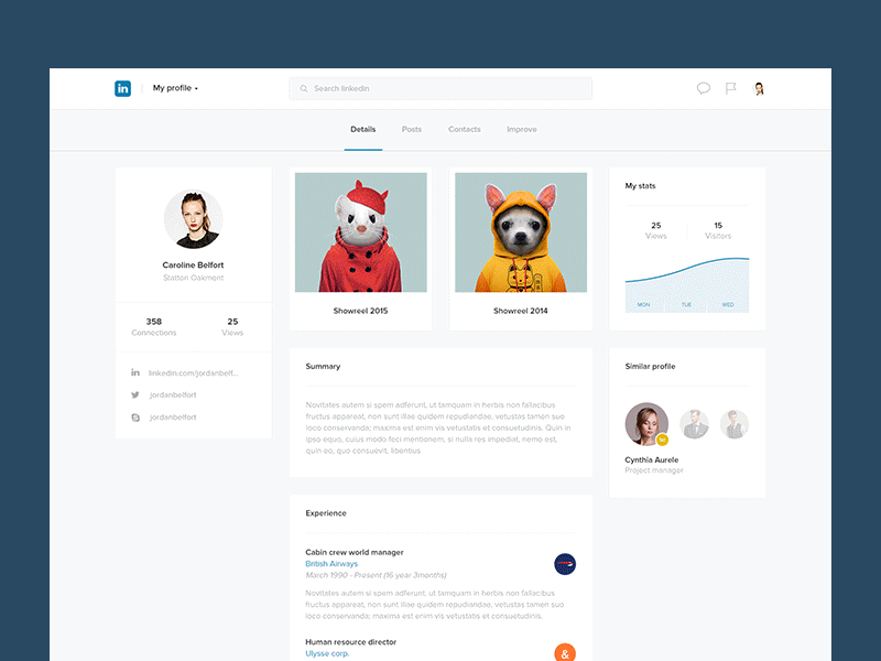 What if Linkedin was beautiful ? linkedin redesign social profile feed flat network concept results filters engine search