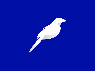 Bluejay Solutions - Concept #2 bird bird logo blue bluejay branding corporate design graphic design logo logo design logomark logos modern professional vector