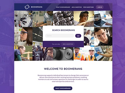 Boomerang Website Design purple website design