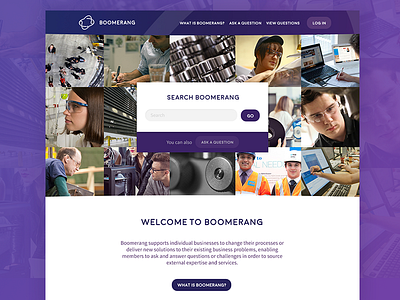 Boomerang Website Design