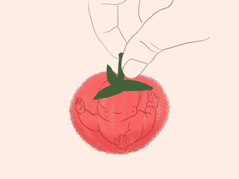 Tomatobaby 2d animation baby gif loop tomato