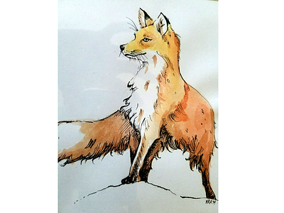 Watercolor Fox drawing illustration pen watercolor