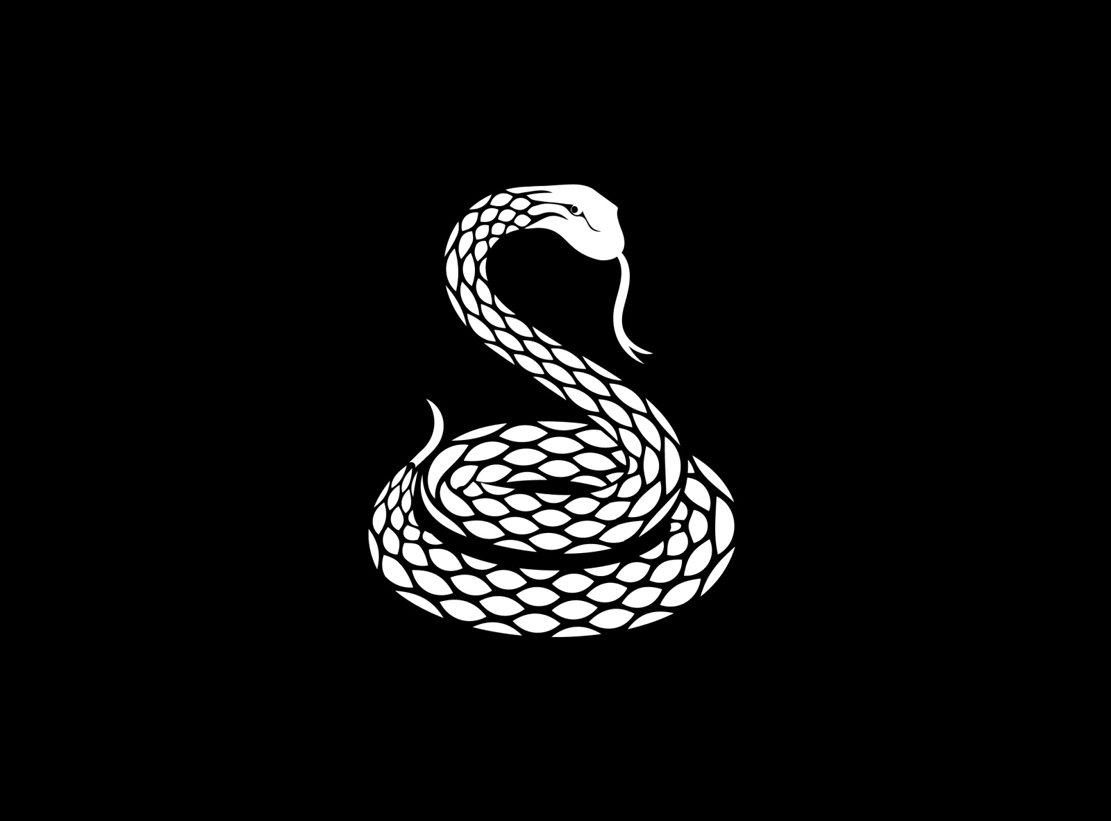 Snake by Ahmed iliraqi on Dribbble