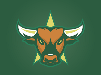 Dallas Stars concept dallas logo nhl stars texas