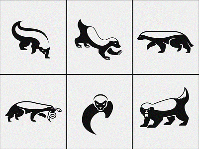 Honey Badgers Exploration animal black branding honey badger logo logomark logotype negative space ratel white