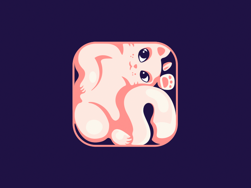 CatBox cat logo pet cartoon illustration branding app branding and identity icon app cat kitten animal logotype logo brand cat