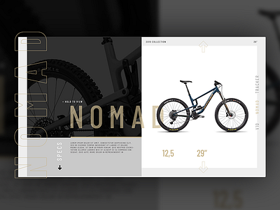 SantaCruz // Products bike flat photoshop products products page type typography web webdesign