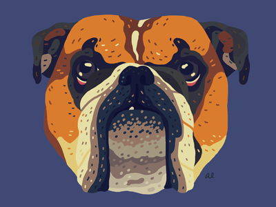 Bulldog dog illustration