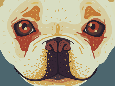 Frenchie dog illustration