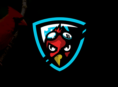 🐦Bird Mascot🐦 branding esportlogo icon illustration logo mascot logos ui ux vector