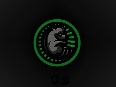 Racoon Mascot Logo