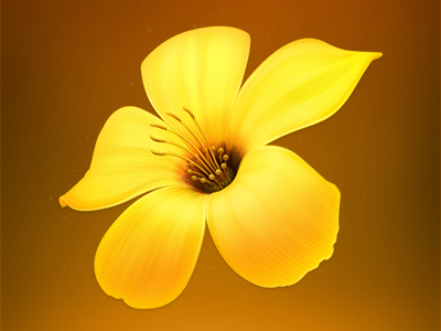Adobe Illustrator Flower