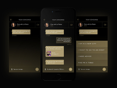 Personal Concierge bank app chat chat bot mobile personal concierge ui ux