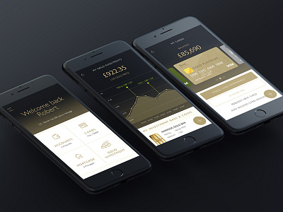 Harrods Banking App Concept