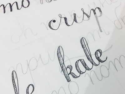 Kale Crisp lettering pen rough sketch roundhand script sketch type typography