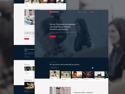Professional Accountants Website design dribbble limely typography ux web web design website