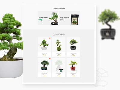 Bonsai Shop branding design limely ux web design website