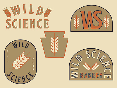 Wild Science austin designer austin illustrator designer graphic designer illustrator type typography
