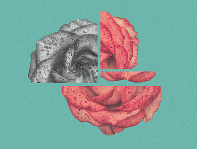 Freckles collage color costa rica digital collage flower freckles green love pink rose selflove teal tropical turquoise