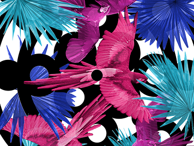 Lapas birds color costa rica lapas palm pattern tropical