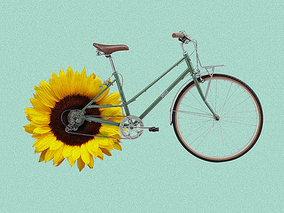 Bicicleta bicycle collage costa rica flowers tropical