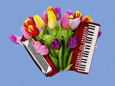 Aflordeón accordion blue collage color costa rica flower music tropical