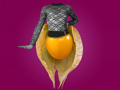 Uchuva Mambolera collage costa rica fruits mambo. uchuva purple tropical