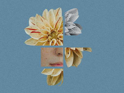 Ajar Efímero blue collage color costa rica digital collage face fate flower flowers love selflove tropical yellow