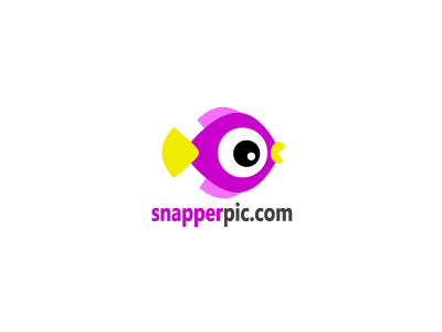 Snapperpic Logo brand branding colors design eye fish icon inspiration logo logos symbol vector