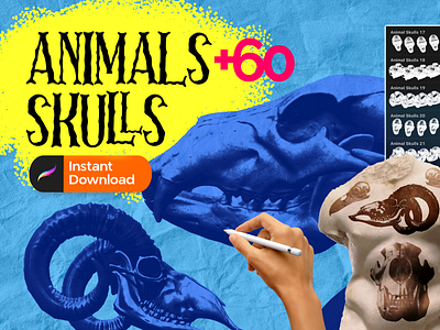 Animal skulls stamp procreate brush, 60 skull procreate brush