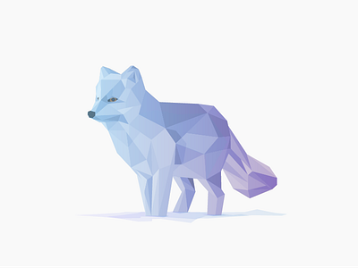 Arctic fox arctic fox illustrator low poly