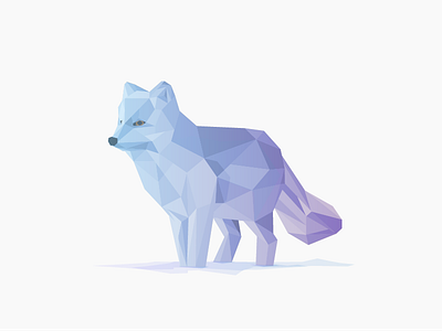 Arctic fox