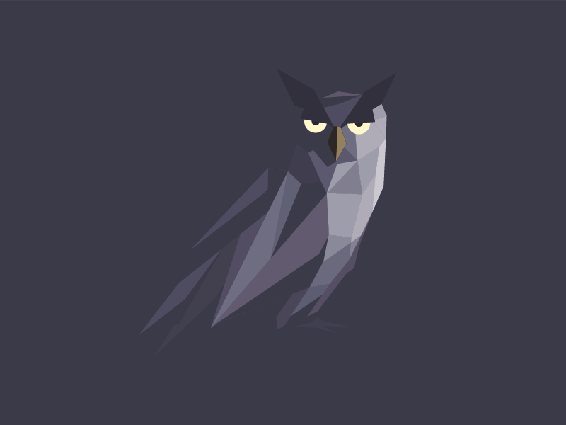 mr. Owl by Lars Lundberg on Dribbble