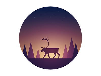 Reindeer at night