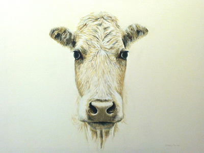 Holy Cow cow fine art illustration painting