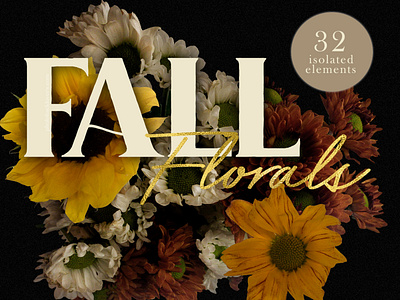 Fall Transparent Floral Clipart branding transparent floral