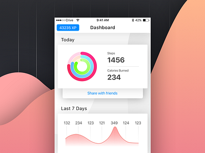 Fitness Dashboard - iOS Application