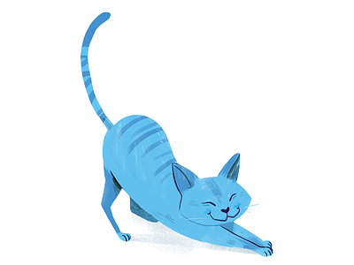 Chat bleu cat chat illustration