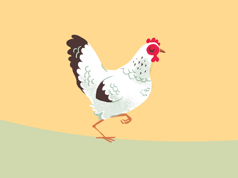 Poule by Annie Carbo on Dribbble