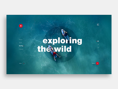 Exploring the wild ui web