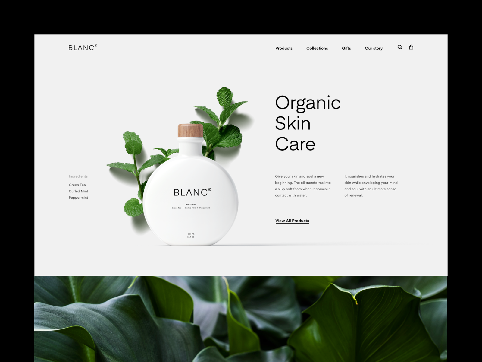 Blanc by Marijana Grbovic on Dribbble