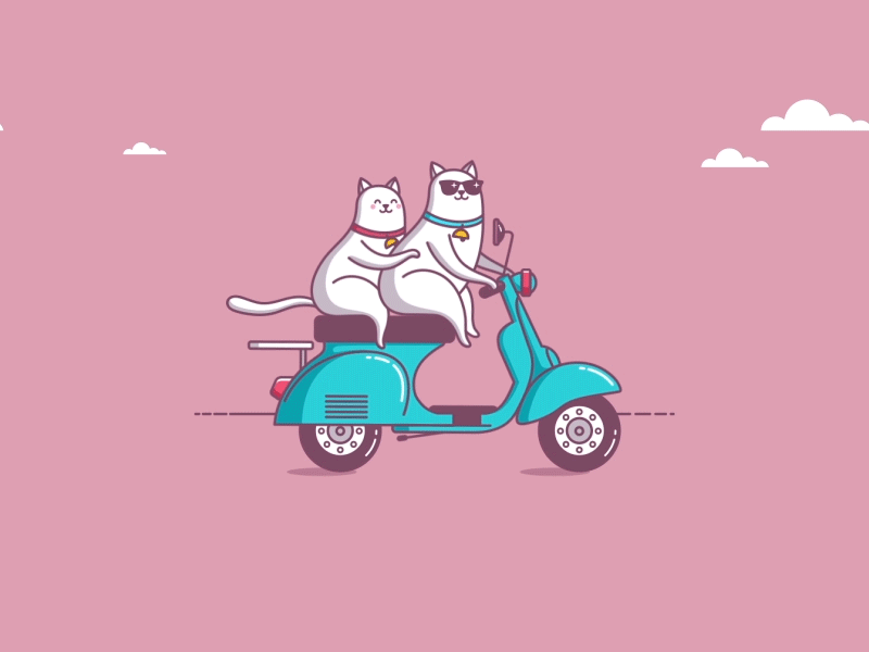 Let´s see the world... after effects animation cats illustration moto travel