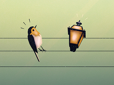 Feeling Wired animals bird cartoon comic funny illustration lantern lines minimal robin strange weird